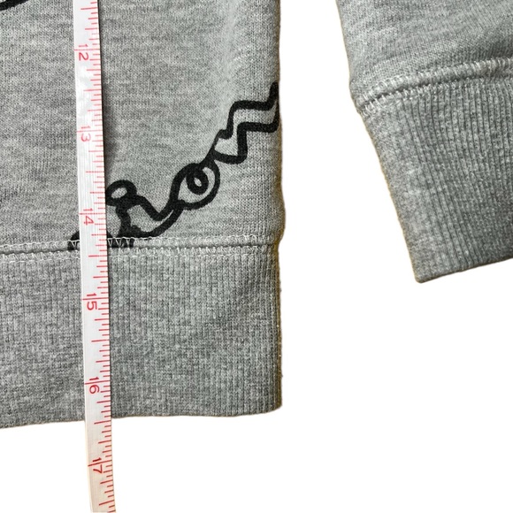 Champion Boys Size 5 Gray Pullover Sweater Champion Gray sweater - Picture 7 of 8